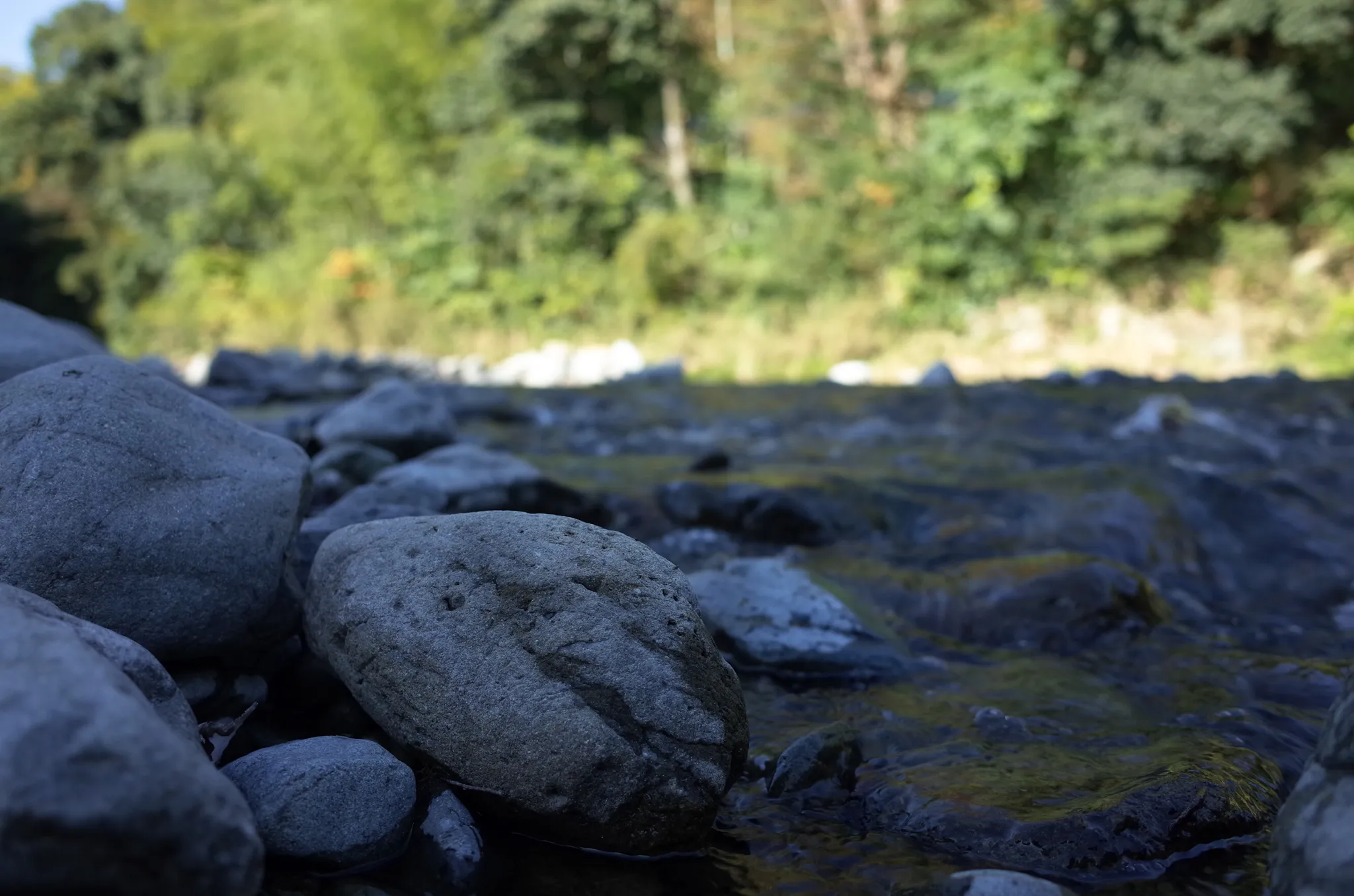 会場直結の川でひたすら水切りやりすぎたので、明日は筋肉痛だー。