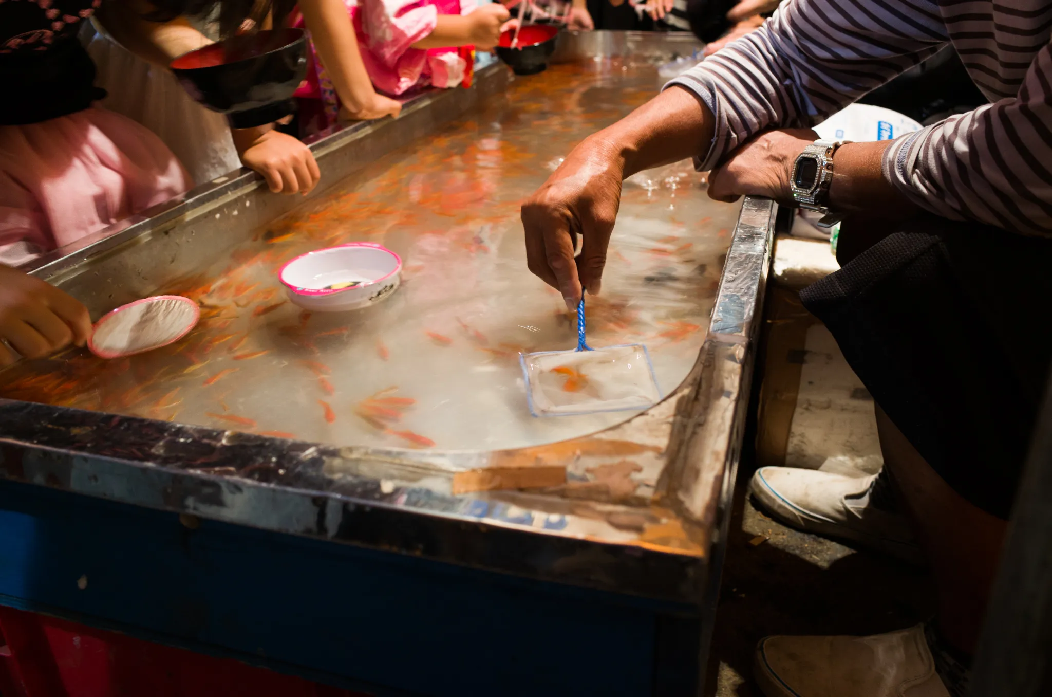 金魚にがっつく子供達