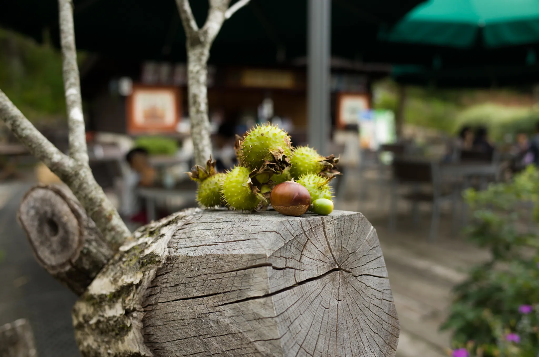 トナカイにいろいろ乗せたのは私だ