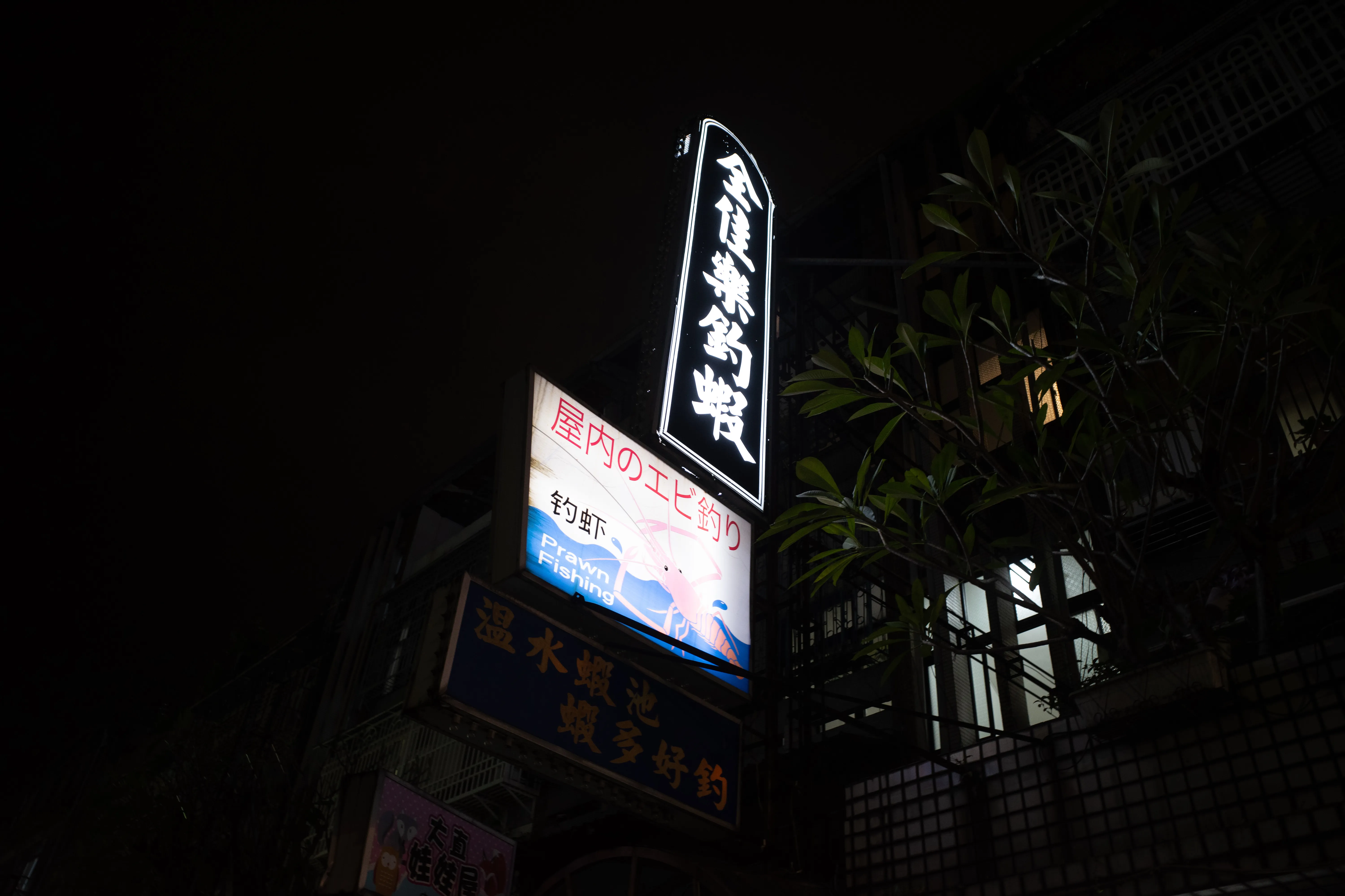 R0011695.jpg