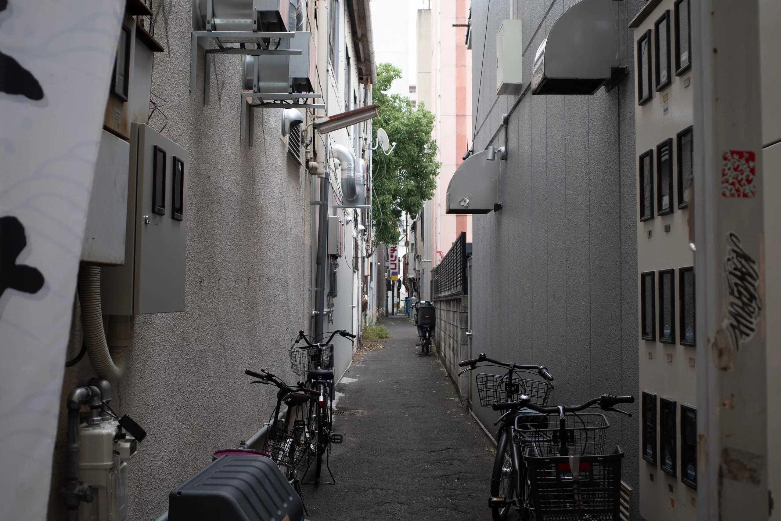 R0012256.jpg