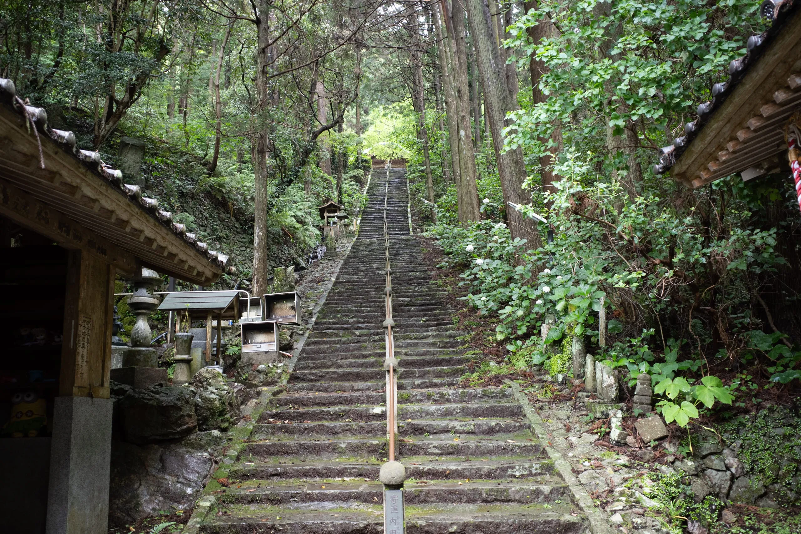 R0012457.jpg